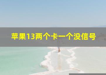 苹果13两个卡一个没信号