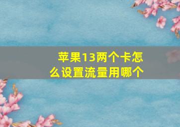 苹果13两个卡怎么设置流量用哪个