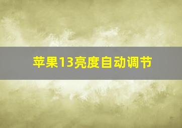 苹果13亮度自动调节