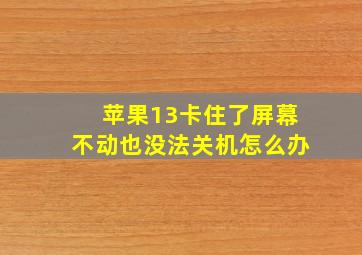 苹果13卡住了屏幕不动也没法关机怎么办