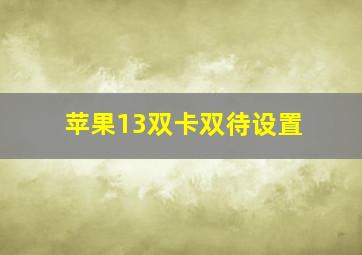 苹果13双卡双待设置