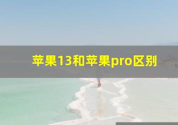 苹果13和苹果pro区别