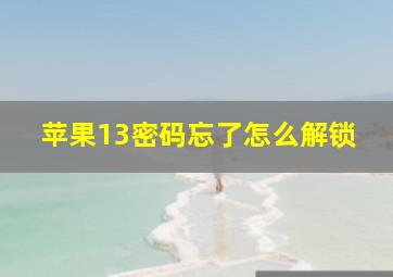 苹果13密码忘了怎么解锁