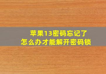 苹果13密码忘记了怎么办才能解开密码锁