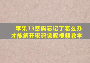 苹果13密码忘记了怎么办才能解开密码锁呢视频教学