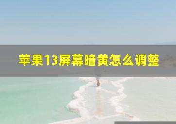 苹果13屏幕暗黄怎么调整