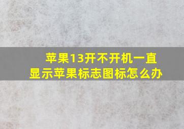 苹果13开不开机一直显示苹果标志图标怎么办