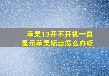 苹果13开不开机一直显示苹果标志怎么办呀