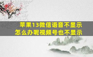 苹果13微信语音不显示怎么办呢视频号也不显示