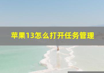 苹果13怎么打开任务管理