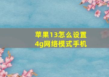 苹果13怎么设置4g网络模式手机