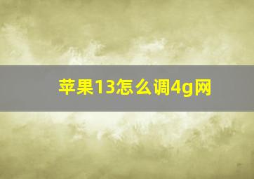 苹果13怎么调4g网