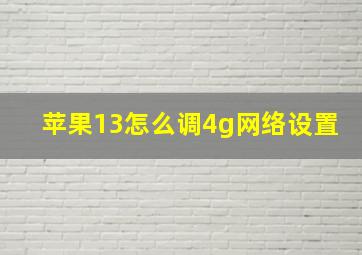 苹果13怎么调4g网络设置