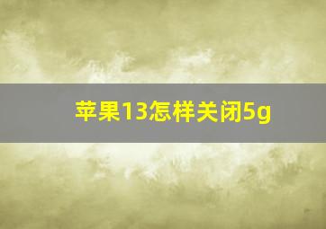 苹果13怎样关闭5g