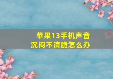 苹果13手机声音沉闷不清脆怎么办