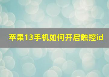 苹果13手机如何开启触控id