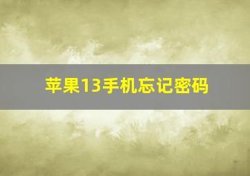 苹果13手机忘记密码