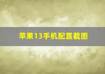 苹果13手机配置截图