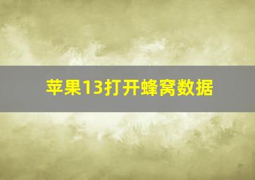 苹果13打开蜂窝数据