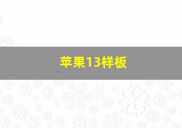 苹果13样板