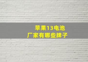 苹果13电池厂家有哪些牌子