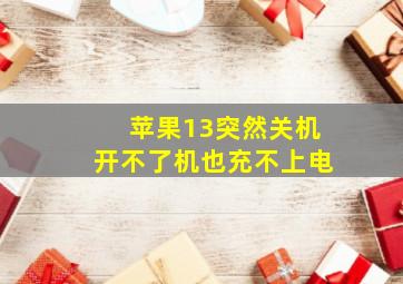 苹果13突然关机开不了机也充不上电