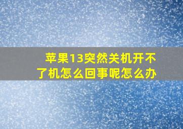 苹果13突然关机开不了机怎么回事呢怎么办