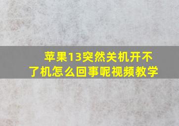 苹果13突然关机开不了机怎么回事呢视频教学