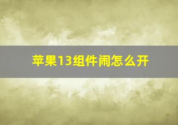 苹果13组件闹怎么开