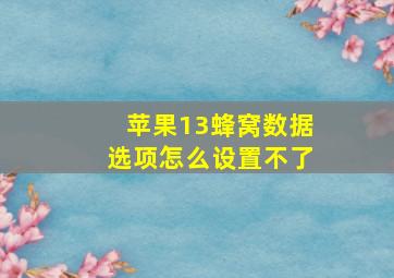 苹果13蜂窝数据选项怎么设置不了