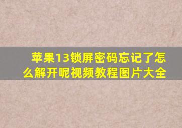 苹果13锁屏密码忘记了怎么解开呢视频教程图片大全