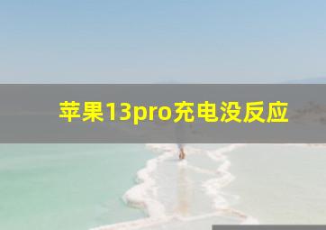 苹果13pro充电没反应