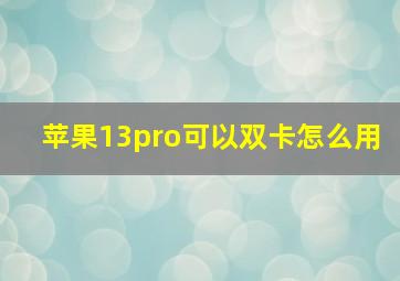 苹果13pro可以双卡怎么用