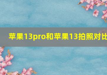 苹果13pro和苹果13拍照对比