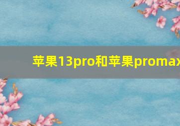 苹果13pro和苹果promax