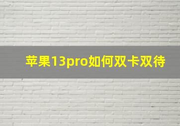 苹果13pro如何双卡双待