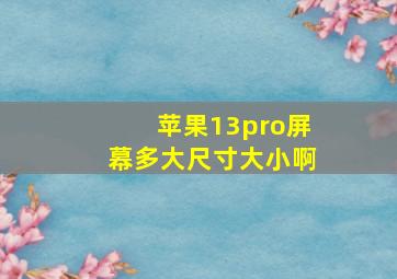 苹果13pro屏幕多大尺寸大小啊