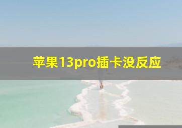 苹果13pro插卡没反应