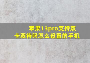 苹果13pro支持双卡双待吗怎么设置的手机