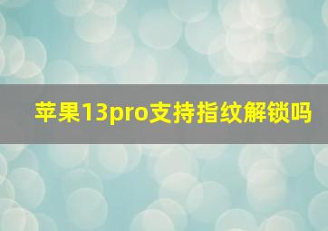 苹果13pro支持指纹解锁吗