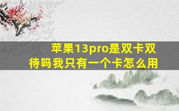 苹果13pro是双卡双待吗我只有一个卡怎么用