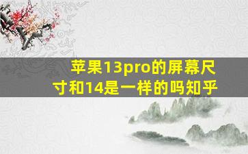 苹果13pro的屏幕尺寸和14是一样的吗知乎