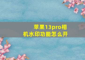 苹果13pro相机水印功能怎么开