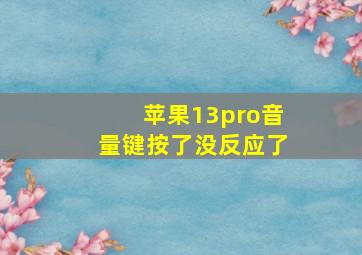 苹果13pro音量键按了没反应了