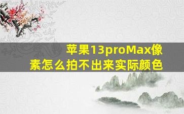 苹果13proMax像素怎么拍不出来实际颜色