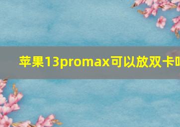 苹果13promax可以放双卡吗