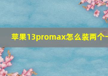 苹果13promax怎么装两个卡