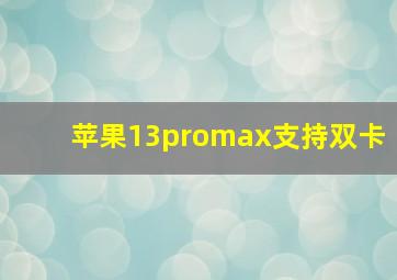 苹果13promax支持双卡