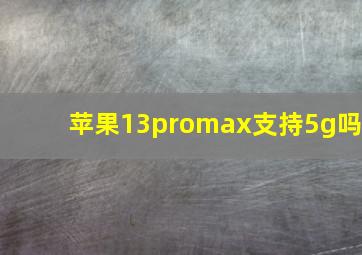 苹果13promax支持5g吗