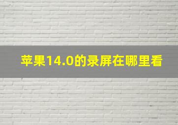 苹果14.0的录屏在哪里看